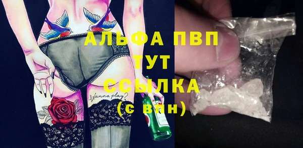 дживик Баксан