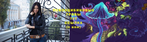 мет Балахна