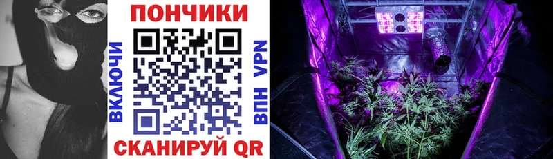 цена Белый Конопля White Widow